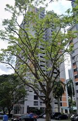 Blk 5 Delta Avenue (Bukit Merah), HDB 4 Rooms #495151501